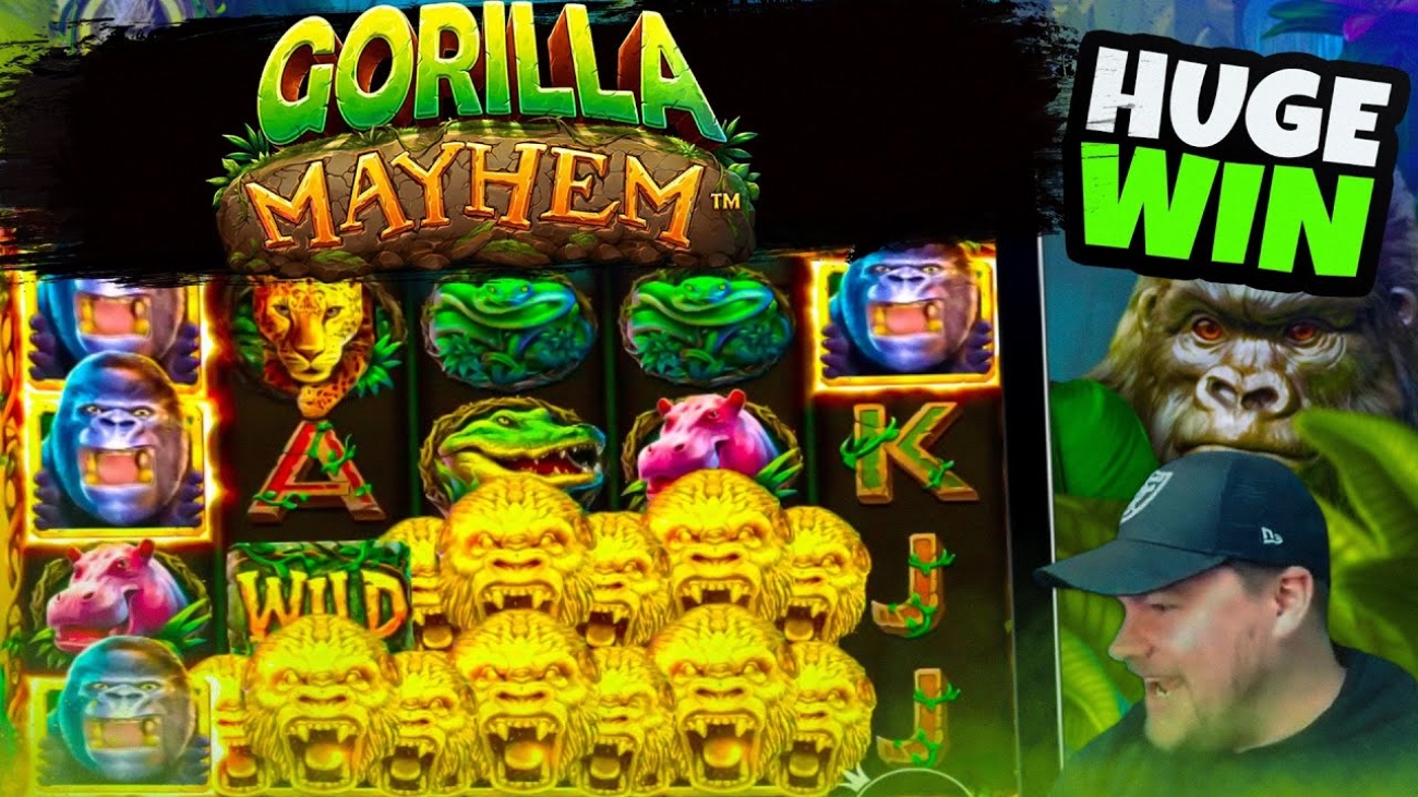 Slot-Gorilla-Mayhem-Kemenangan-Mudah-untuk-Semua-Pemain